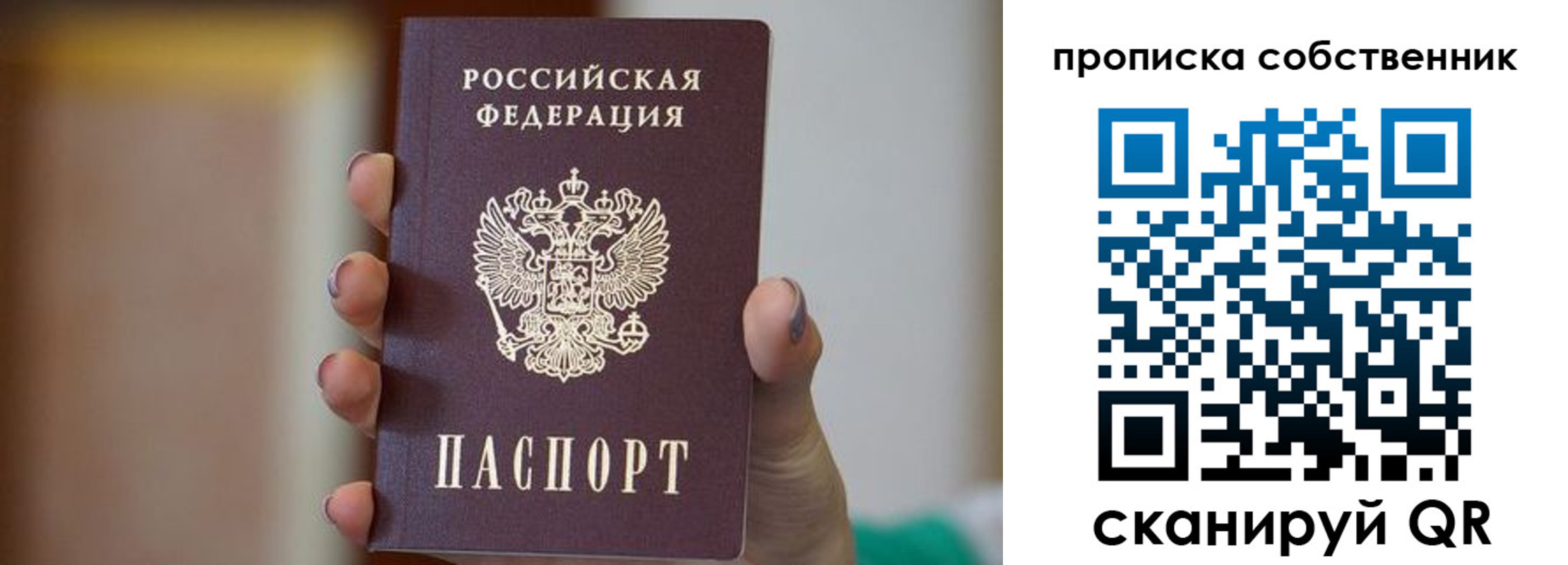 прописка поиск в Емве